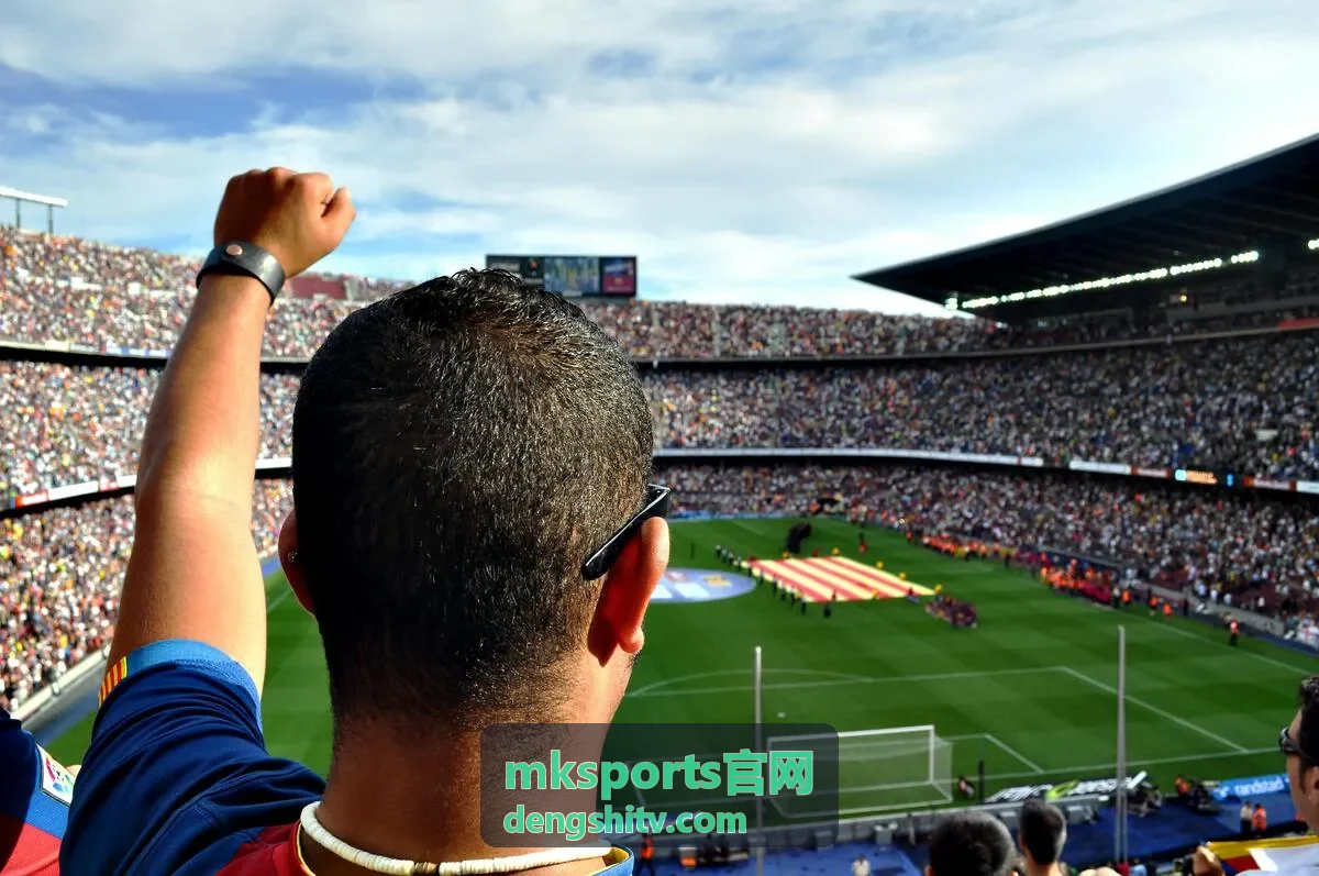 mksports官网手机平板与电视端同步观看配图