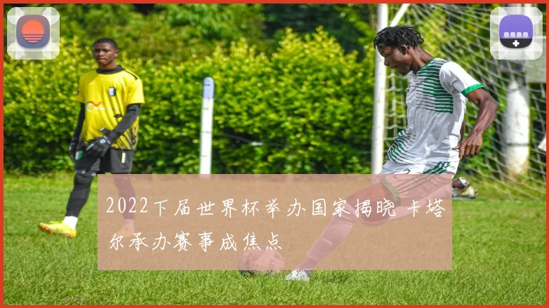 2022下届世界杯举办国家揭晓 卡塔尔承办赛事成焦点
