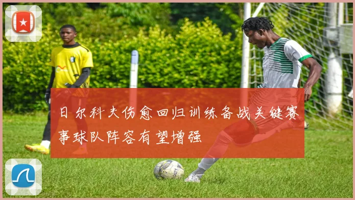 日尔科夫伤愈回归训练备战关键赛事球队阵容有望增强