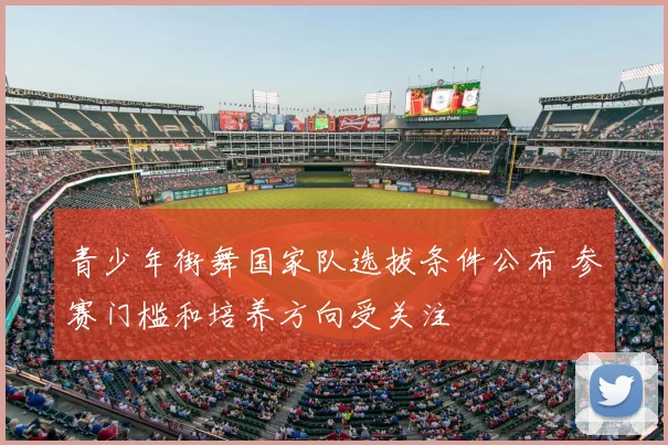青少年街舞国家队选拔条件公布 参赛门槛和培养方向受关注