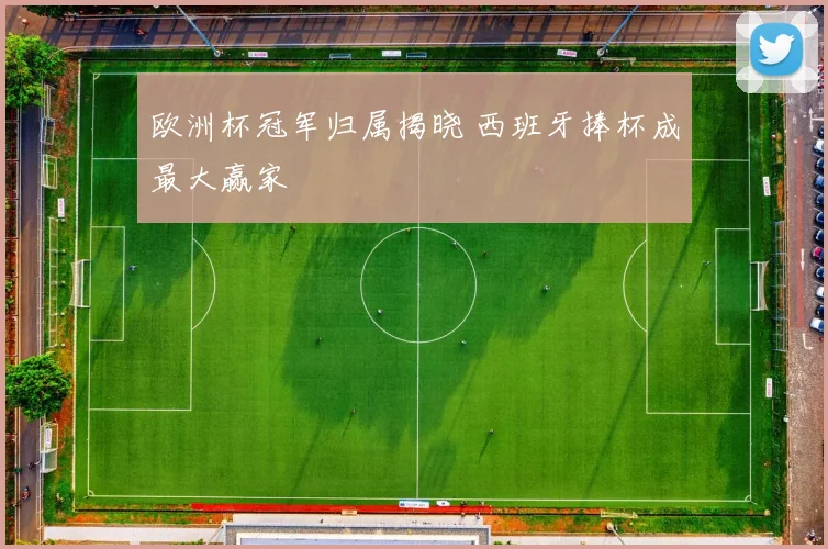 欧洲杯冠军归属揭晓 西班牙捧杯成最大赢家