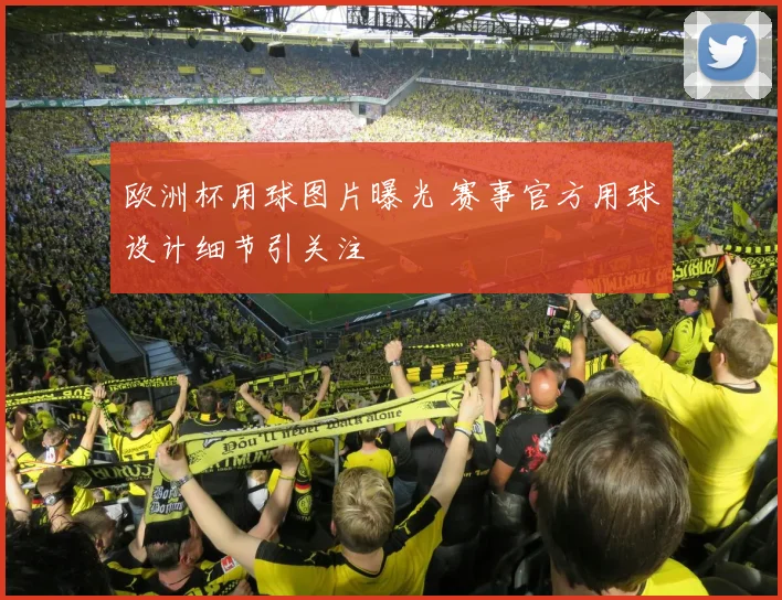 欧洲杯用球图片曝光 赛事官方用球设计细节引关注