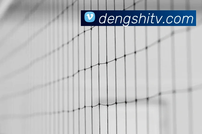 瑞士国家队新球衣发布欧洲杯客场设计首次曝光